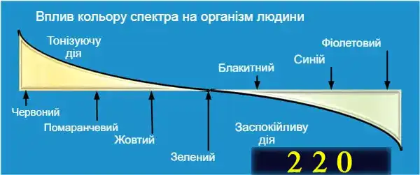 Які бувають лампочки: 7 типів для освітлення квартири