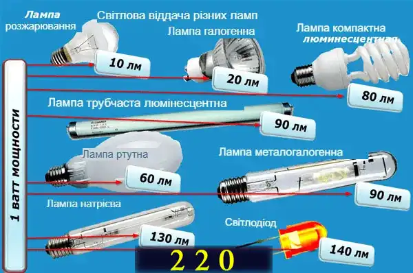 Які бувають лампочки: 7 типів для освітлення квартири