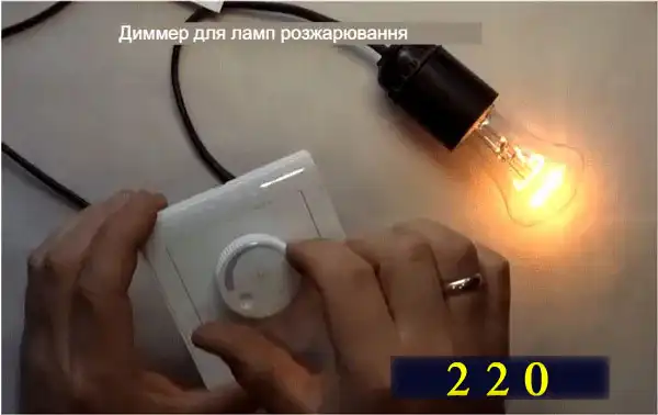 Які бувають лампочки: 7 типів для освітлення квартири