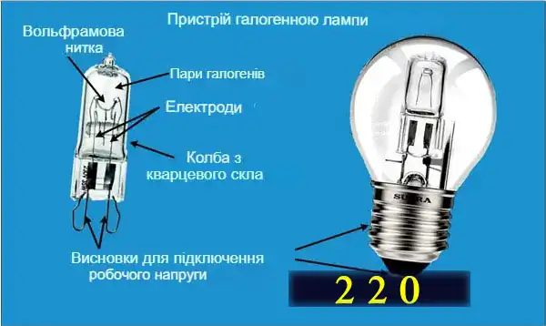 Які бувають лампочки: 7 типів для освітлення квартири