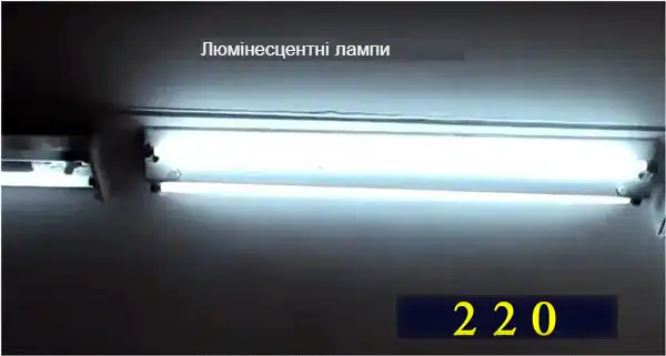 Які бувають лампочки: 7 типів для освітлення квартири