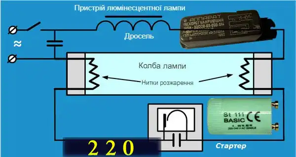 Які бувають лампочки: 7 типів для освітлення квартири