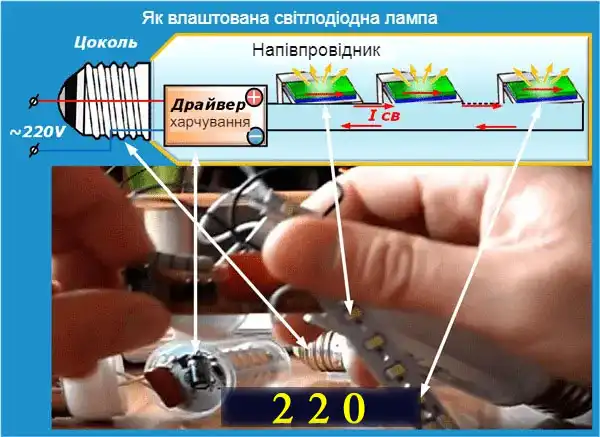 Які бувають лампочки: 7 типів для освітлення квартири