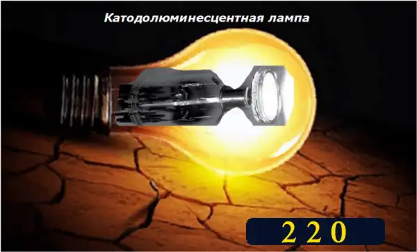 Які бувають лампочки: 7 типів для освітлення квартири