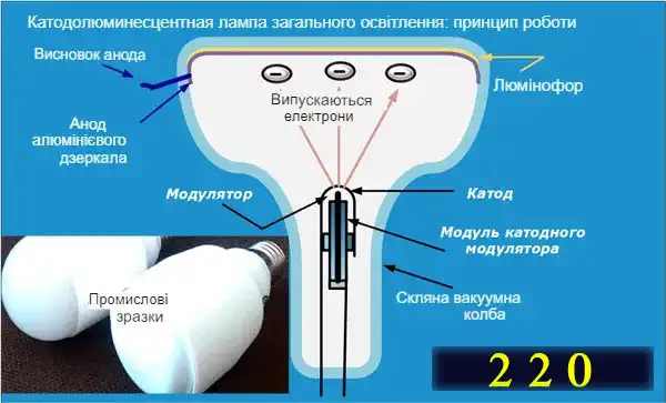 Які бувають лампочки: 7 типів для освітлення квартири