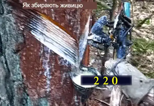 Каніфоль: що це таке і як їй користуватися - докладна інструкція для новачків при паянні в картинках