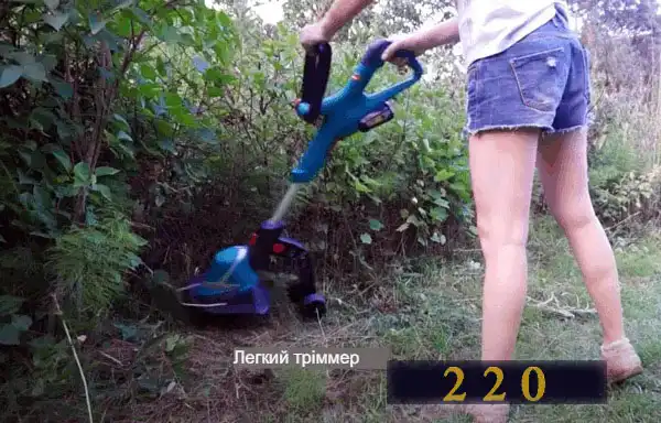 Ремонт електротримера своїми руками: докладна інструкція для майстра-початківця з картинками, схемами і фотографіями