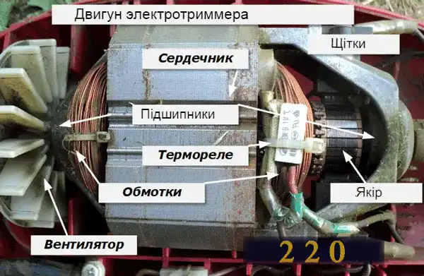 Ремонт електротримера своїми руками: докладна інструкція для майстра-початківця з картинками, схемами і фотографіями