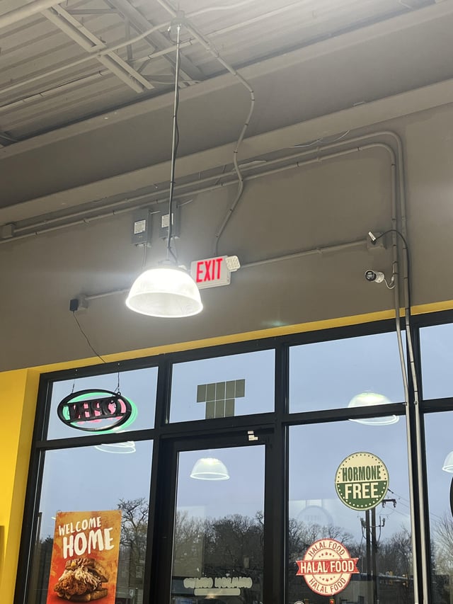 Знахідка електриків в дикій природі